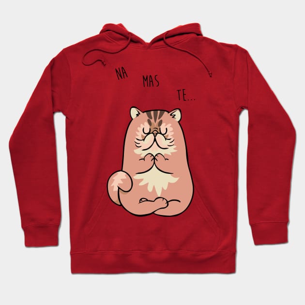 NAMASTE Cat Cat Hoodie by huebucket